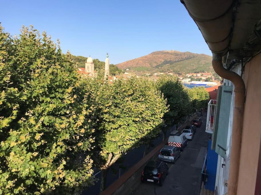 Studio Bon Dia/Balcon/Proche Criques Et Collioure Apartment Port Vendres Exterior photo
